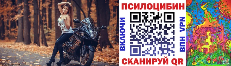 купить закладку  Дивногорск  Галлюциногенные грибы Cubensis 
